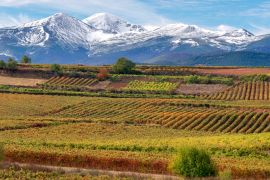 Lais Puzzle - Weinberge mit San Lorenzo Berg als Hintergrund, La Rioja, Spanien - 2.000 Teile