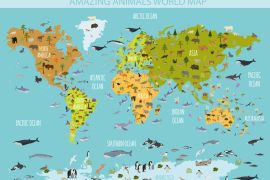 Lais Puzzle - Tierleben der Welt - 2.000 Teile
