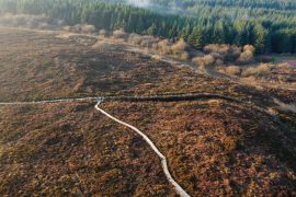 Lais Puzzle - Boardwalk-Wanderweg in den Slieve Bloom Mountains in Irland - 2.000 Teile