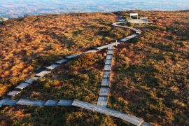 Lais Puzzle - Boardwalk-Wanderweg in den Slieve Bloom Mountains in Irland - 2.000 Teile