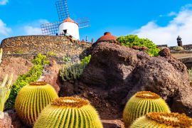 Lais Puzzle - Kaktusgarten, Jardin de Cactus in Guatiza, Lanzarote, Kanarische Inseln, Spanien - 2.000 Teile