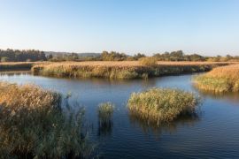 Lais Puzzle - Schöner Fluss Gudenaa bei Randers, Dänemark. Ruhiges Wasser, blauer Himmel. - 2.000 Teile