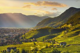 Lais Puzzle - Ansicht der Weinberge in Santa Maddalena Bozen, Italien - 2.000 Teile