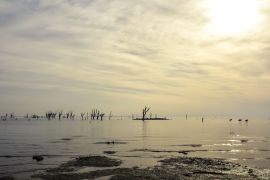 Lais Puzzle - Sonniger Nachmittag in Miramar, Cordoba, Argentinien, mit Flamingos und versteinerten kahlen Bäumen in der Landschaft - 2.000 Teile