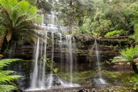 Lais Puzzle - Russell Falls liegt in Tasmanien, Australien. Er befindet sich in einem üppigen, grünen Regenwald. - 2.000 Teile