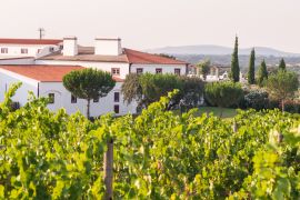 Lais Puzzle - Weingut Herdade das Servas in der Nähe von Estremoz, Bezirk Evora, Portugal - 2.000 Teile