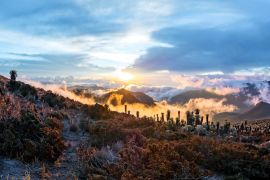 Lais Puzzle - Vulkan Tolima im Los Nevados National Park mit prächtiger Vegetation frailejones (Espeletia) Expedition mit Blick vom Basislager, Kolumbien - 2.000 Teile