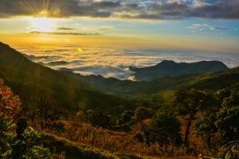 Lais Puzzle - Landschaft von Paccha, El Oro, Ecuador - 2.000 Teile