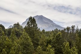 Lais Puzzle - La Malinche National Park Tlaxcala, Mexiko - 2.000 Teile