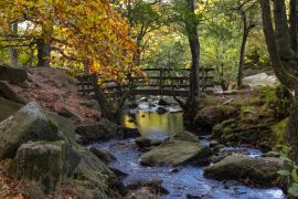 Lais Puzzle - Brücke im Padley Gorge Waldgebiet im Herbst, schöne Farben des Peak District, England - 2.000 Teile