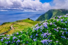 Lais Puzzle - Bild von schöner Landschaft mit Hortensien und einem Weg, der zum Atlantik auf den Azoren führt - 2.000 Teile