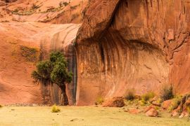 Lais Puzzle - Oase in der Inca Cueva in der Nähe von Humahuaca in der Provinz Jujuy im Norden Argentiniens. - 2.000 Teile
