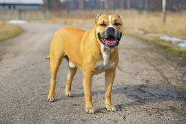 Lais Puzzle - Ca de Bou - 2.000 Teile