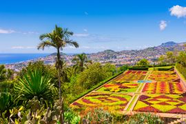 Lais Puzzle - Botanischer Garten in Funchal, Insel Madeira, Portugal - 2.000 Teile