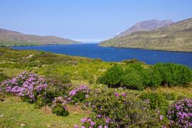 Lais Puzzle - Killary Harbour, Irland - 2.000 Teile