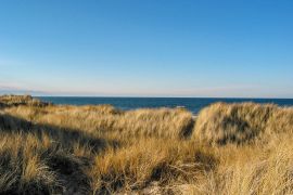 Lais Puzzle - Romantisches Refugium in der Dünenlandschaft der dänischen Insel Læsø. Prächtige Aussicht auf das glatte Wasser des Kattegatt - 2.000 Teile