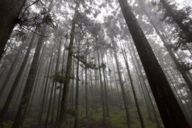 Lais Puzzle - Lushan in Jiujiang Stadt, Jiangxi, China - 2.000 Teile