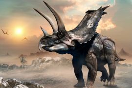 Lais Puzzle - Agujaceratops Dinosaurier - 2.000 Teile