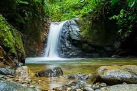 Lais Puzzle - Podocarpus, Ecuador - 2.000 Teile