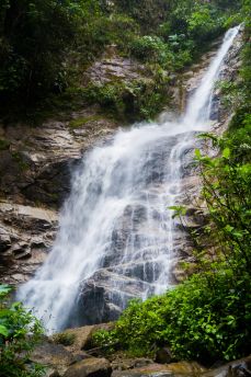 Lais Puzzle - Podocarpus, Ecuador - 2.000 Teile