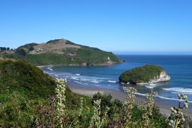 Lais Puzzle - Pinguin Reservierung Islotes de Punihuil auf Chiloe Island in Chile - 2.000 Teile