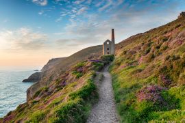 Lais Puzzle - Nebliger Sommerabend auf dem South West Coast Path, England - 2.000 Teile