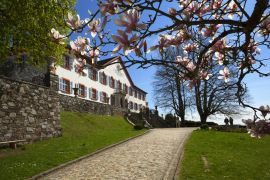 Lais Puzzle - Schloss Bürgeln bei Schliengen im Markgräflerland - 2.000 Teile