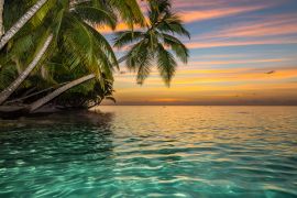 Lais Puzzle - Tropischer Strand - 2.000 Teile