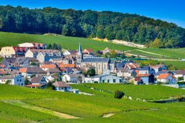 Lais Puzzle - Champagner-Weinberge Mancy im Departement Marne, Frankreich - 2.000 Teile