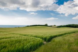 Lais Puzzle - Die Aussicht von Vejrhoej - Odsherred - 2.000 Teile