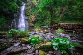 Lais Puzzle - Der Vieiros-Fluss, der Wasserfall, Mexiko - 2.000 Teile