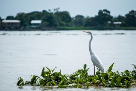 Lais Puzzle - Samborondón-Guayas Ecuador - 2.000 Teile