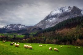 Lais Puzzle - Schafe in Arrazola, Euskal Autonomia Erkidegoa, Spanien - 2.000 Teile