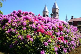 Lais Puzzle - Viborger Dom, Dänemark - 2.000 Teile