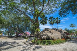 Lais Puzzle - Parque Simon Bolivar De Monteria, Monteria, Cordoba, Kolumbien - 2.000 Teile