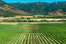 Lais Puzzle - Colchagua Tal, Chile - 2.000 Teile