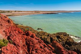 Lais Puzzle - Meeresküstenlandschaft von Punta Tombo, Patagonien, Argentinien - 2.000 Teile