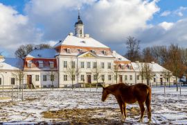 Lais Puzzle - Brandenburgisches Haupt- und Landgestüt Neustadt Dosse - 2.000 Teile