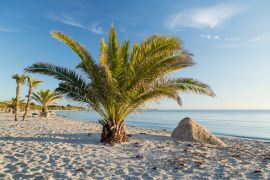 Lais Puzzle - Palmenstrand an der dänischen Küste in Frederikshavn - 2.000 Teile
