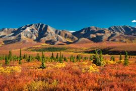 Lais Puzzle - Denali Nationalpark Alaska - 2.000 Teile