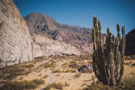 Lais Puzzle - Peru, Schlucht von Cotahuasi. Der tiefste Canyon der Welt - 2.000 Teile