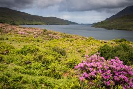 Lais Puzzle - Killary Harbour, Irland - 2.000 Teile