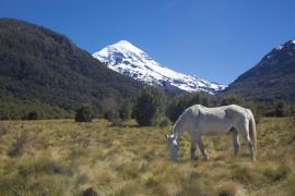 Lais Puzzle - Südwand des Vulkans Lanin im Lanin-Nationalpark, Neuquén, Argentinien - 2.000 Teile