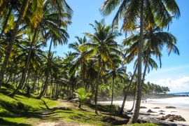 Lais Puzzle - Wunderschöner Itacare-Strand in Brasilien - 2.000 Teile