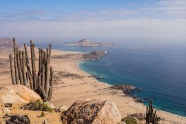 Lais Puzzle - Küste des Pan de Azucar Nationalparks in Chile. Atacama Wüstenküste und Kaktus - 2.000 Teile