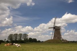 Lais Puzzle - Windmühle bei Bronkhorst - 2.000 Teile