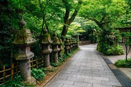 Lais Puzzle - Nanzo-in-Tempel, Fukuoka, Japan - 2.000 Teile