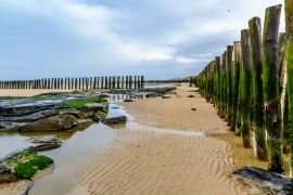 Lais Puzzle - Hölzerner Wellenbrecher am Strand von Wissant, cote opale, Frankreich - 2.000 Teile