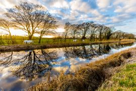 Lais Puzzle - Pferde auf dem Grand Canal, Irland - 2.000 Teile