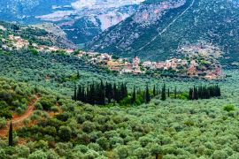 Lais Puzzle - Tal von Amfissa, ist eine Stadt in Phokis, Griechenland, Teil der Gemeinde Delphi - 2.000 Teile